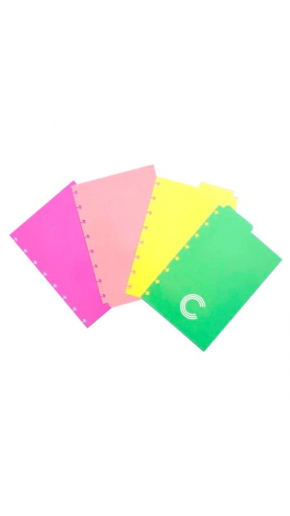 DIVISORIA CADERNO INTELIGENTE A5 PLASTICA C/04 CORES PASTEL