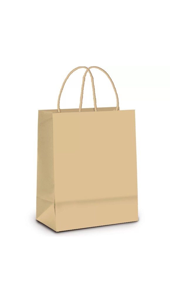 SACOLA PAPEL KRAFT PARDO M 26X19,5X9,5 JUSSARA