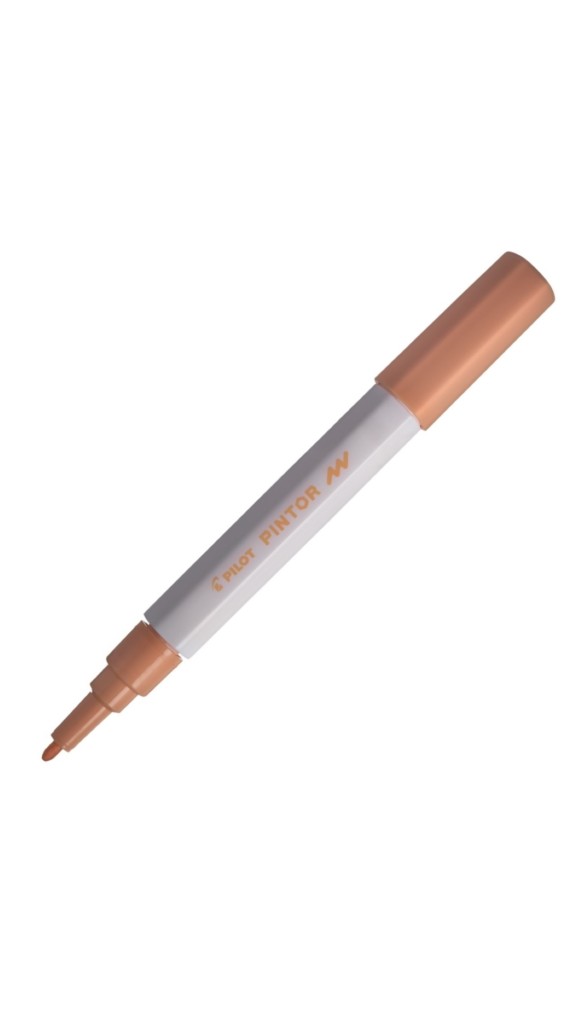 MARCADOR PILOT PINTOR F - CORES