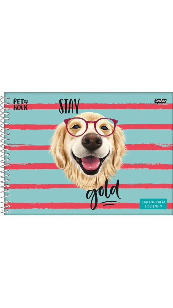 CADERNO CARTOGRAFIA CAPA DURA MASC.PET HOLIC 80F.2023 JANDAIA