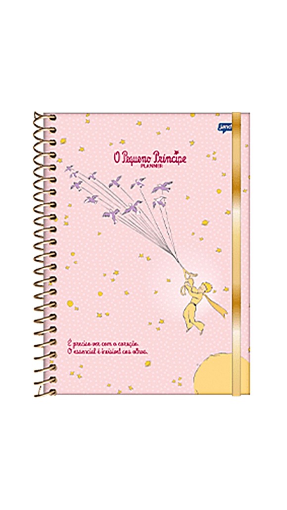 AGENDA PLANNER ESPIRAL PEQUENO PRINCIPE 160F.2023 JANDAIA