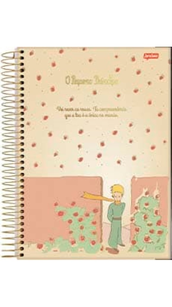 CADERNO CARTOGRAFIA CAPA DURA PEQUENO PRINCIPE 96F.2023 JANDAIA
