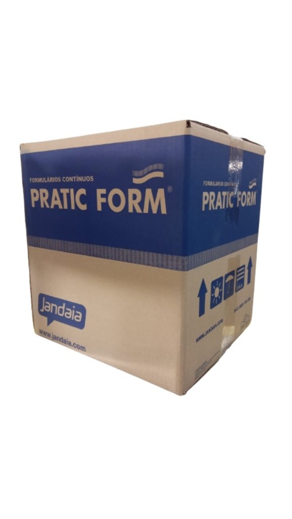 FORMULARIO RAZAO 80 COLUNAS 2 VIAS 3000JG AUTOCOPIATIVO PRATIC FORM