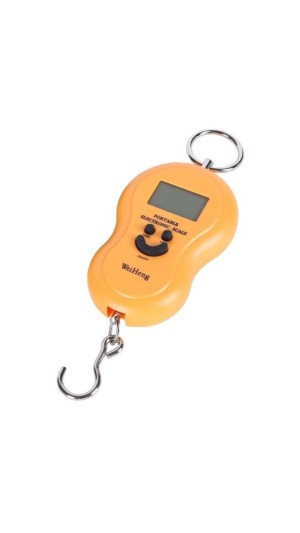 BALANÇA P/ BAGAGEM 50KG - 10G