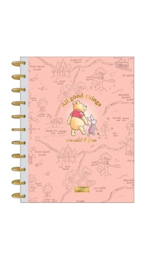 CAD.UNIV.C.D.FEM.10X1 TILIDISCO CONN POOH 160F.2024 TILIBRA