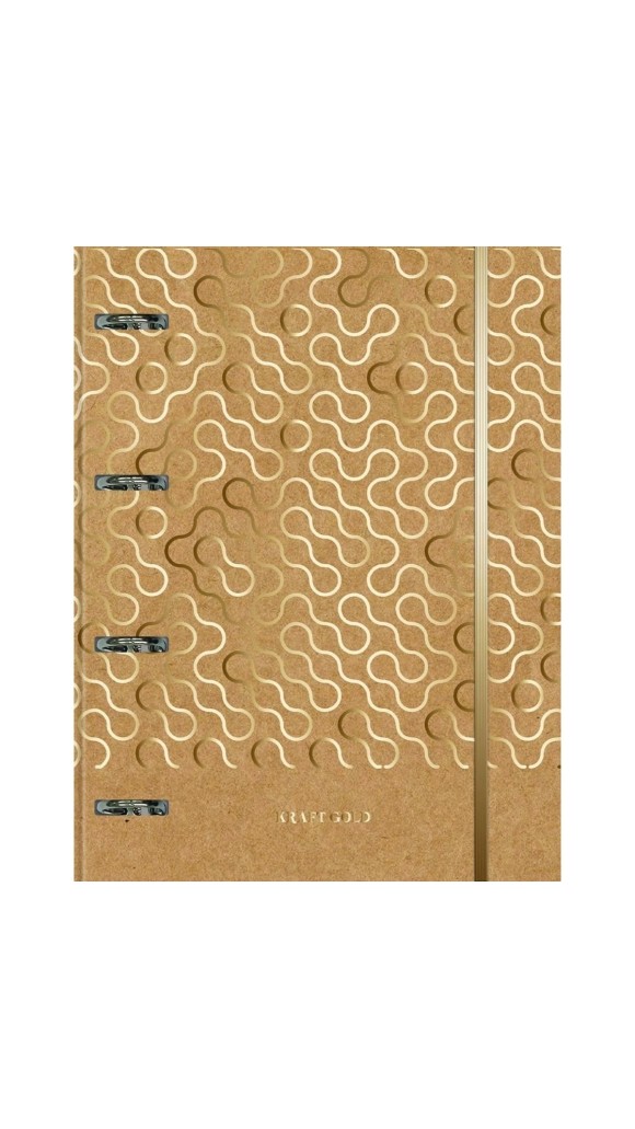 FICHARIO COLEG.ELAST.KRAFT GOLD 80F.2024 JANDAIA